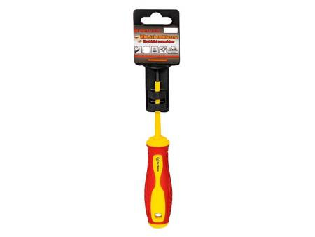 RICHMANN WKRĘTAK 1000V PH 2x100 EN60900