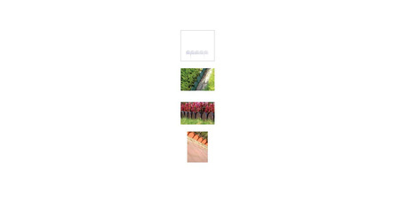 PROSPERPLAST OBRZEŻE OGRODOWE 10m GARDEN LINE TERAKOTA