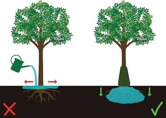 TORBA DO PODLEWANIA DRZEW 85l