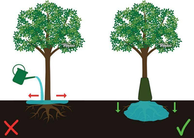 TORBA DO PODLEWANIA DRZEW 85l