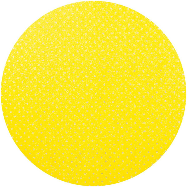 KRĄŻEK ŚCIERNY NA RZEP 225 MM GR 60 Richmann Exclusive C2921