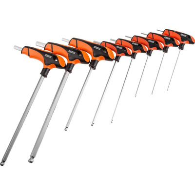 RICHMANN KLUCZE IMBUSOWE UCHWYT "T" 2-10 MM 8 ELEMENTÓW