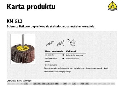 KLINGSPOR ŚCIERNICA LISTKOWA TRZPIENIOWA KM613  25mm x 15mm x 6mm gr. 60
